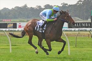 Classy win by O'Reilly filly